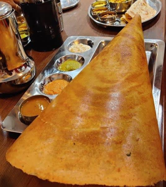 Nylon Paper Dosa